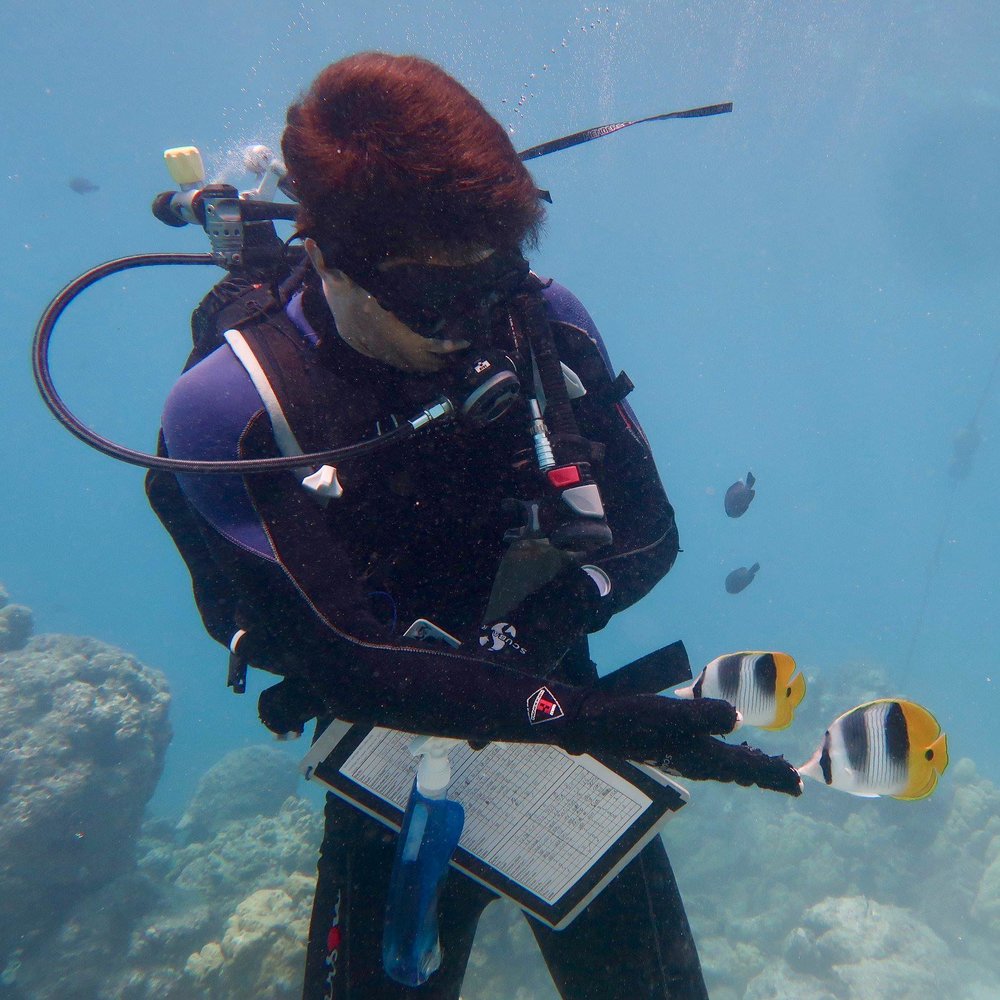 Curious fish