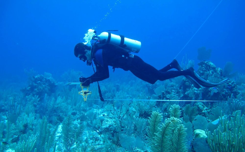 belize3.jpg