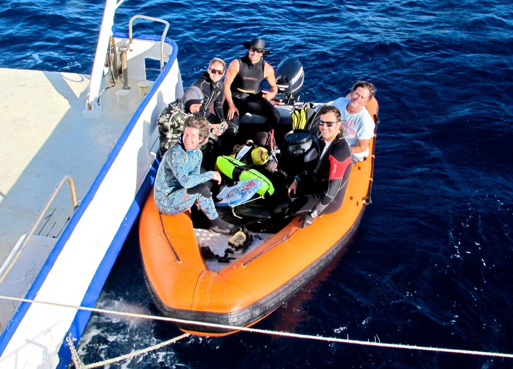 Seal team